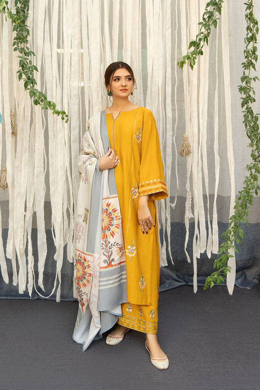 Embroided Dhanak 3PC